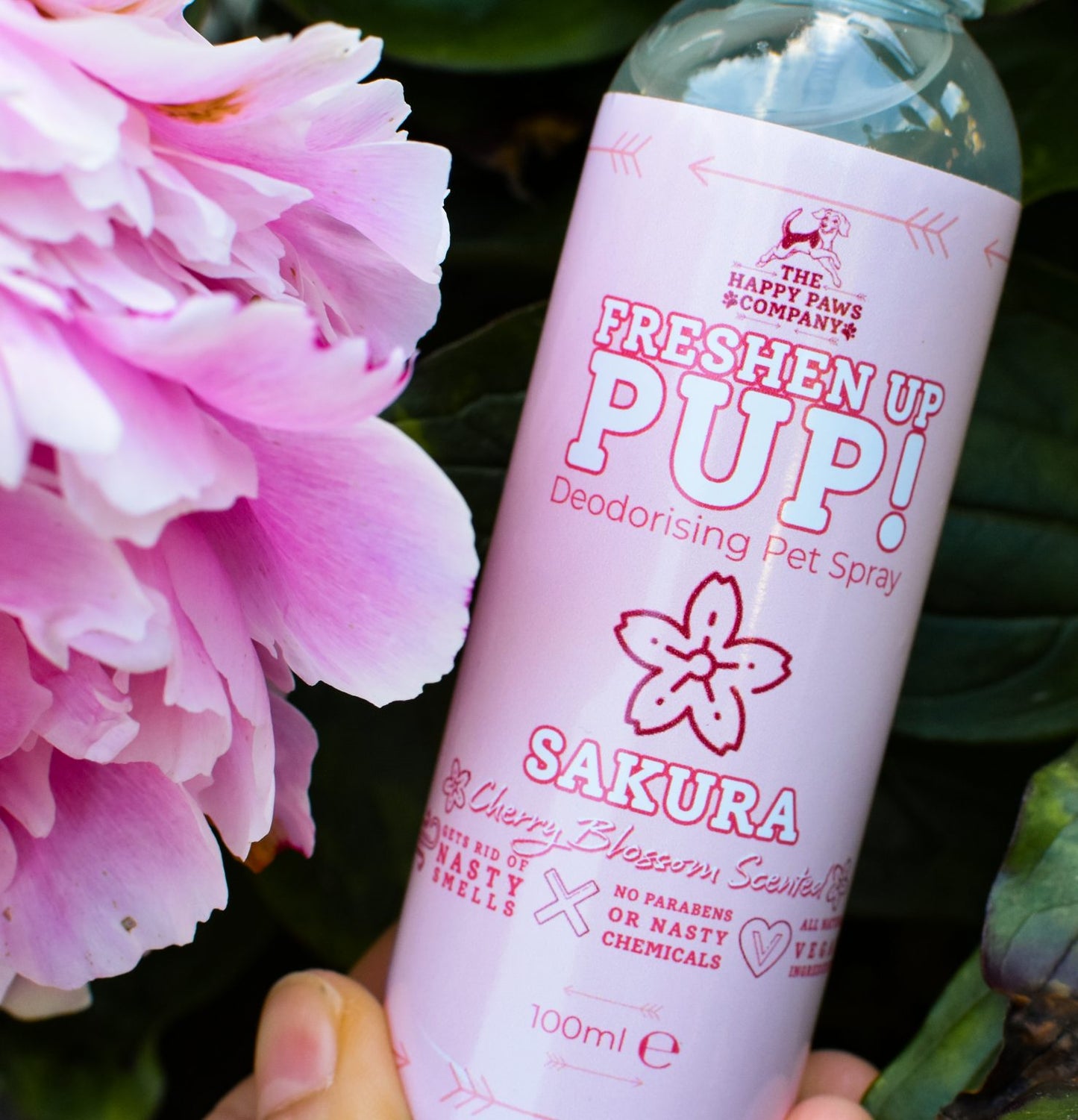 Freshen Up Pup! – Deodorising Dog Spray – Sakura, Cherry Blossom Scented