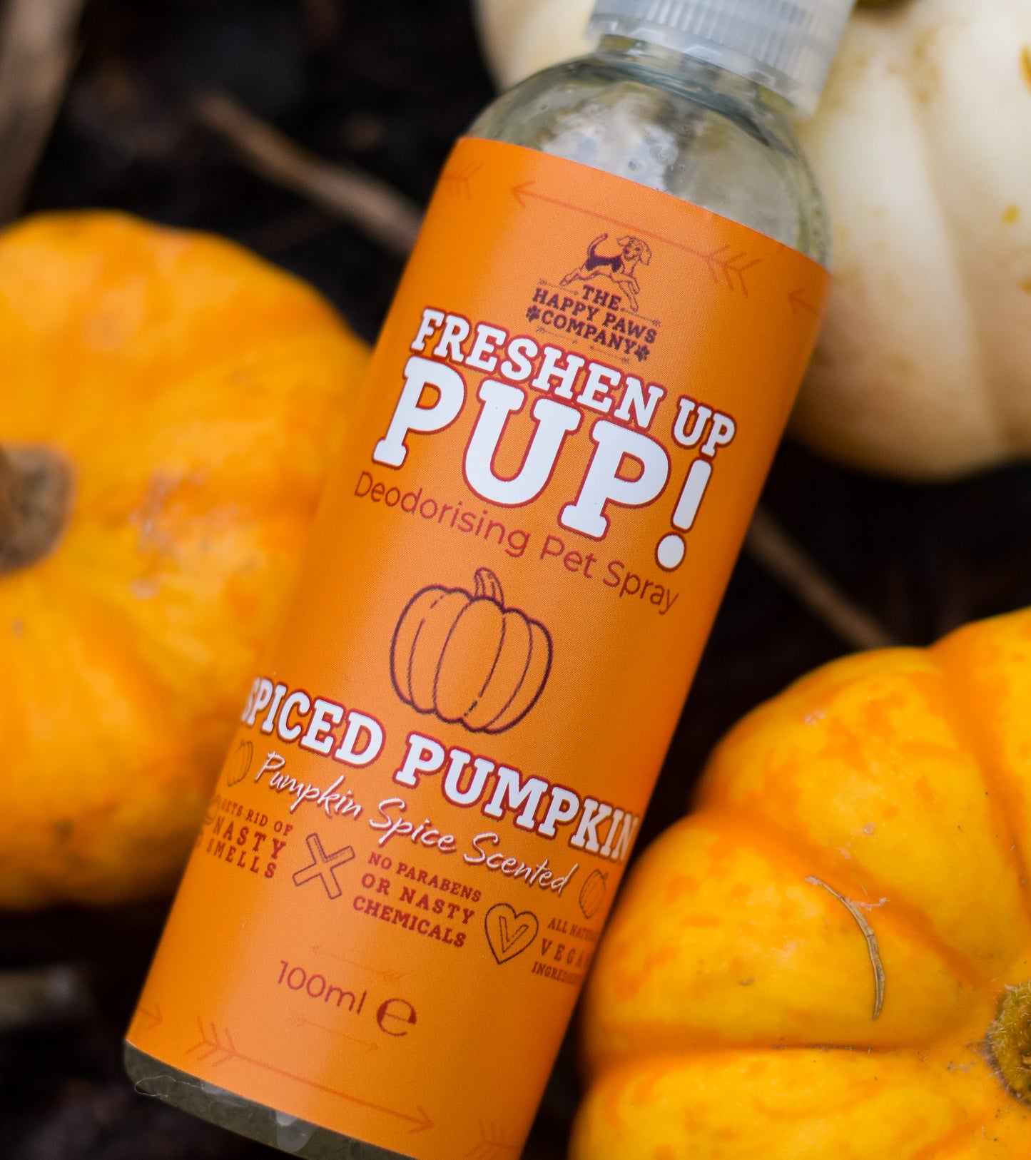 Freshen Up Pup! – Deodorising Dog Spray – Spiced Pumpkin, Pumpkin Spice Scented