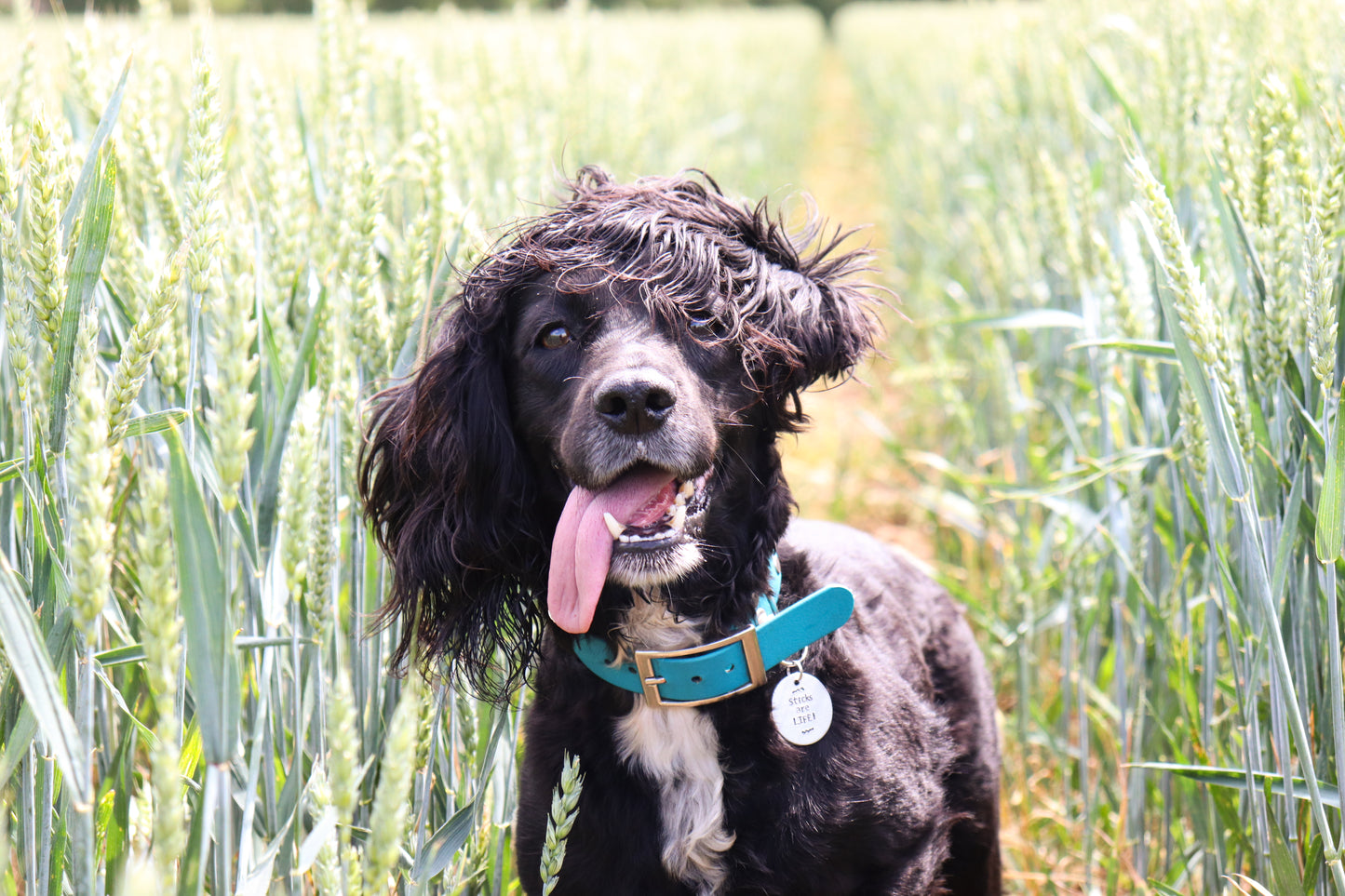 Sticks Are Life ID Tag