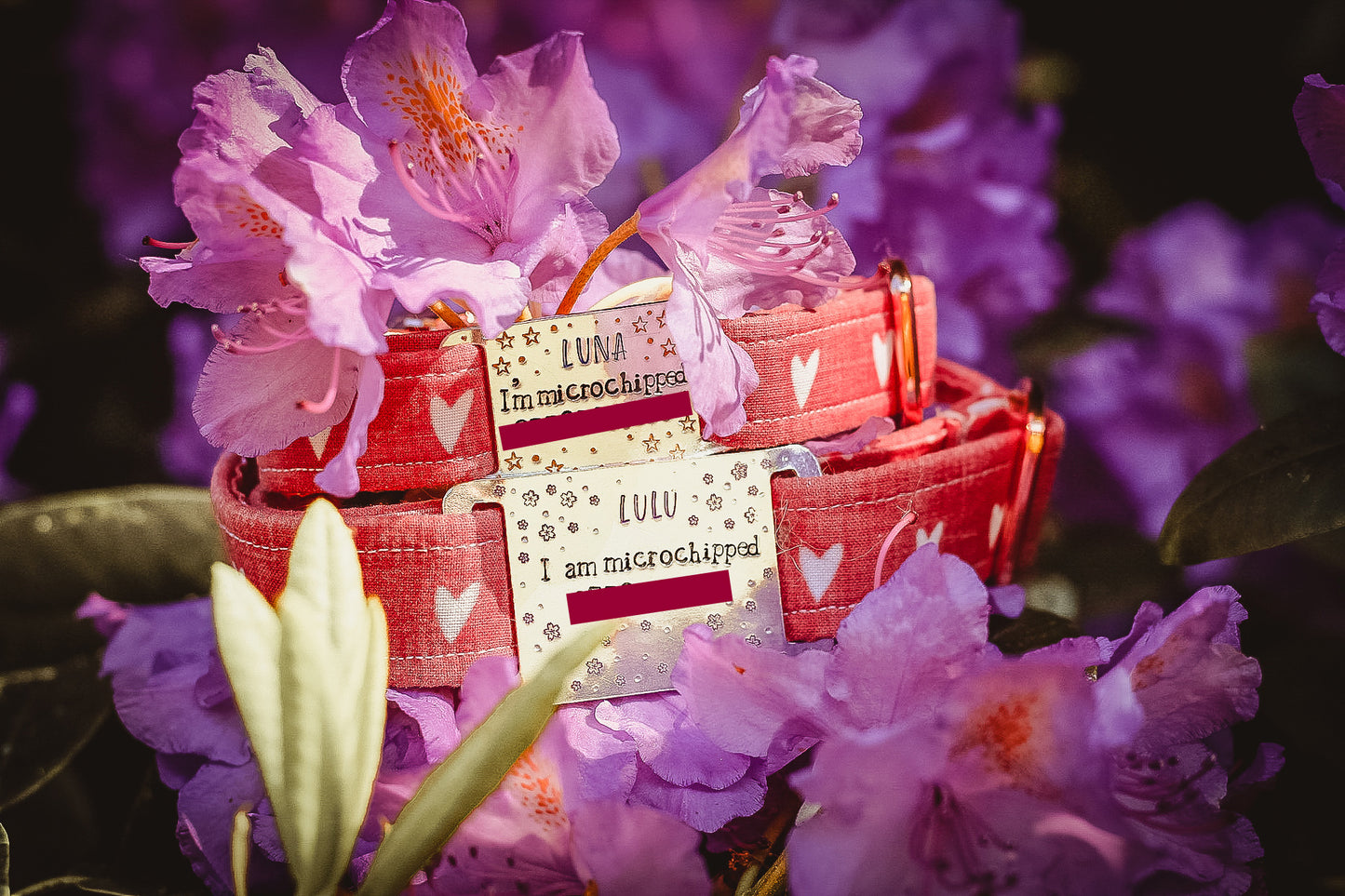 Alert Slip On/Collar/Agility ID Tag