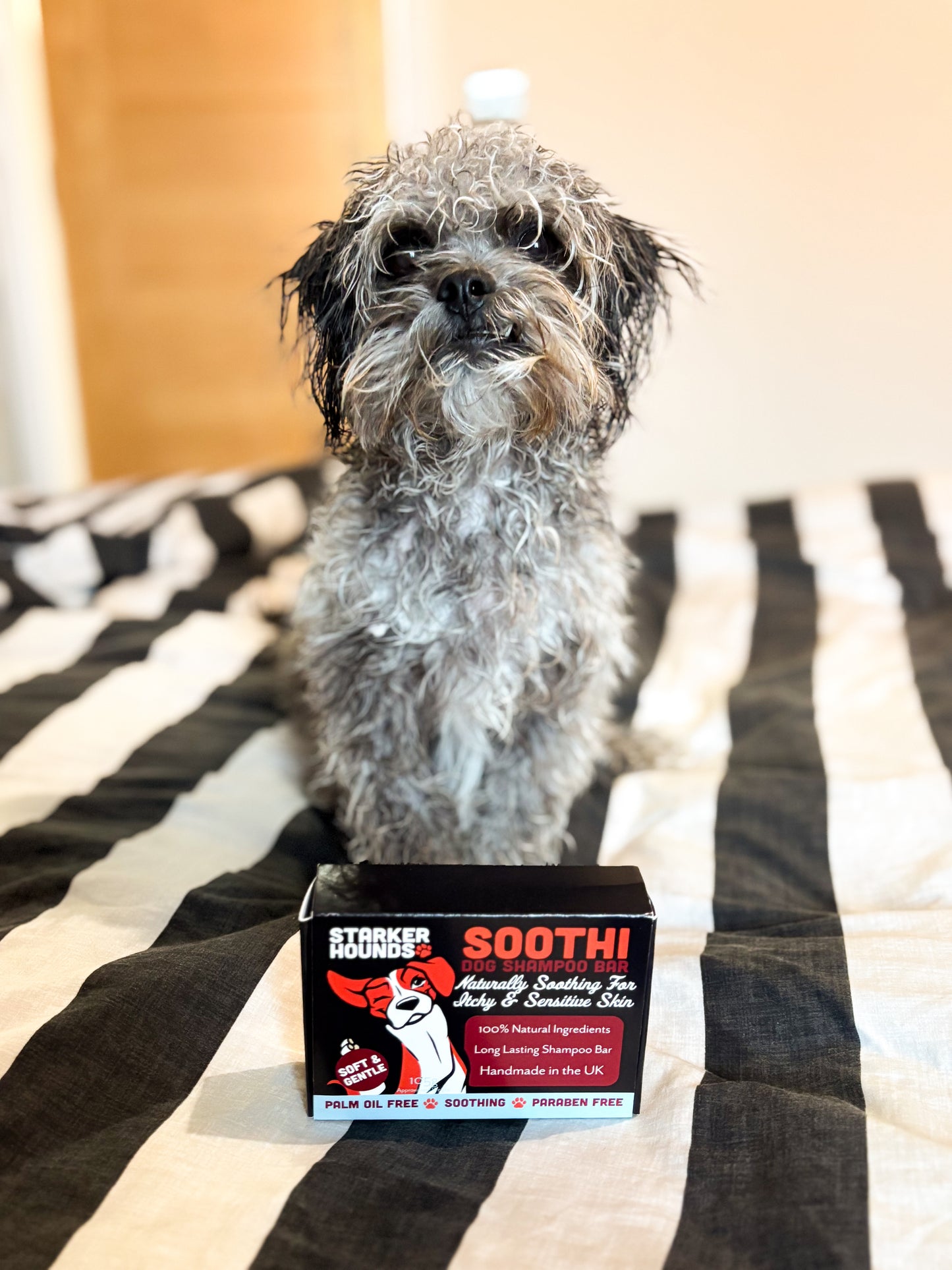 Soothi - Soothing for Itchy & Sensitive Skin Dog Shampoo Bar