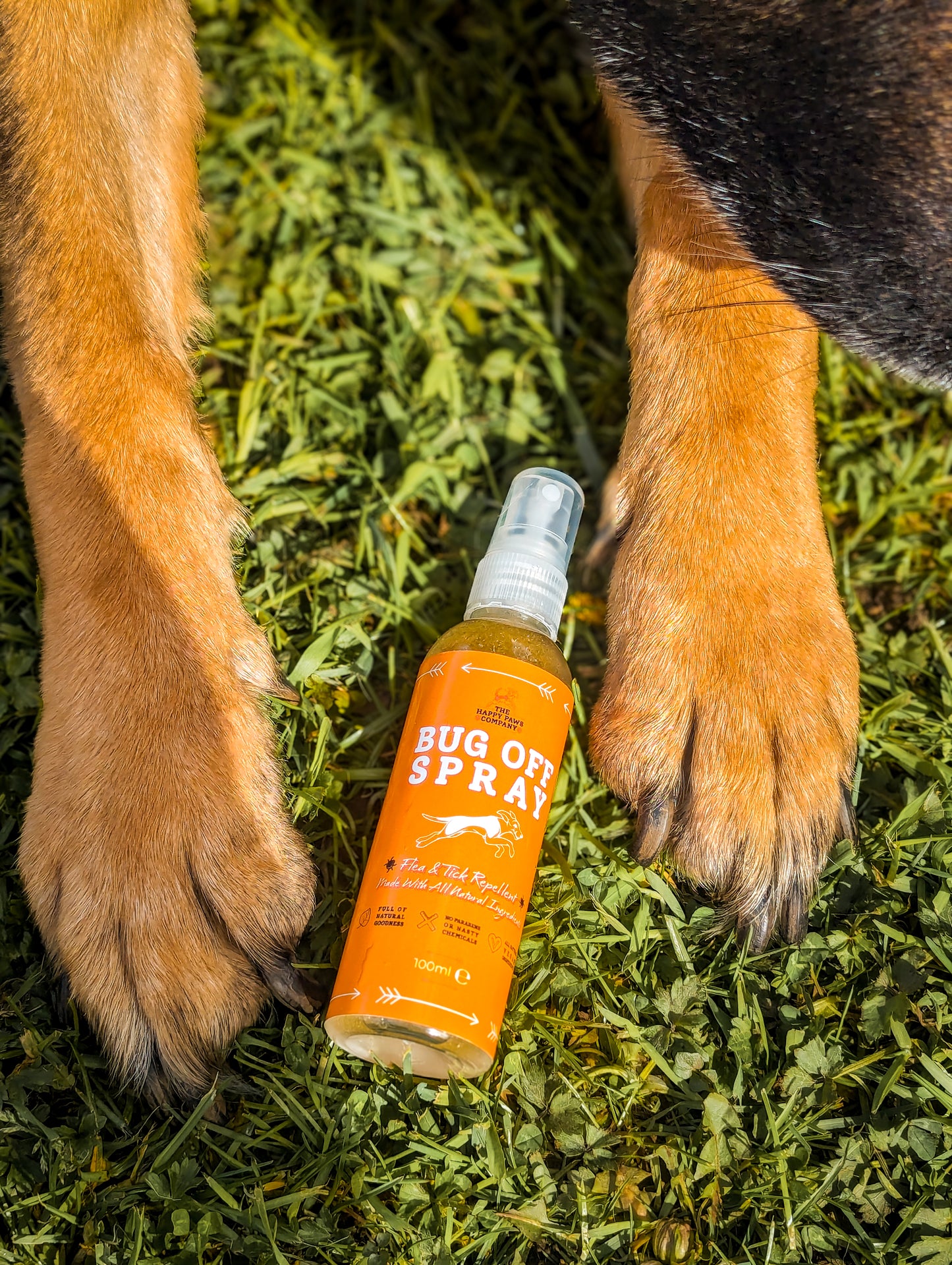 Bug Off Spray – All Natural Flea, Tick & Insect Repellent Spray