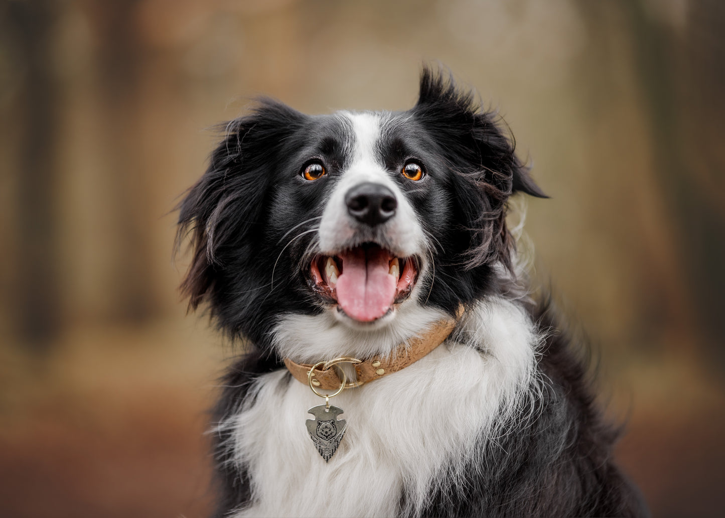 Starker Hounds Gift Card