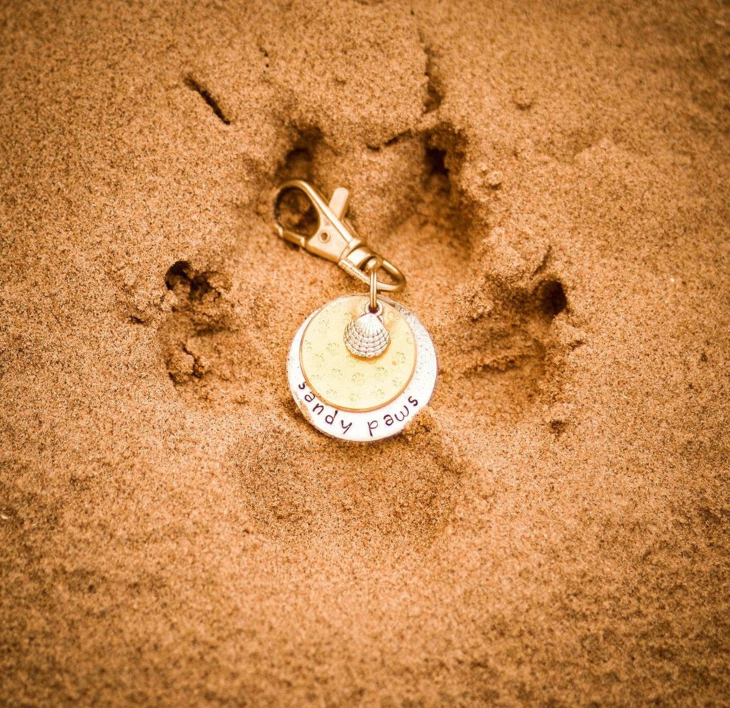 Sandy Paws ID Tag