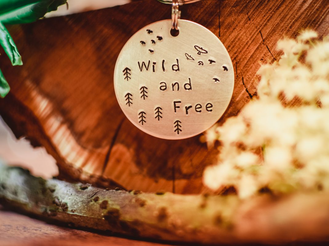 Wild & Free ID Tag