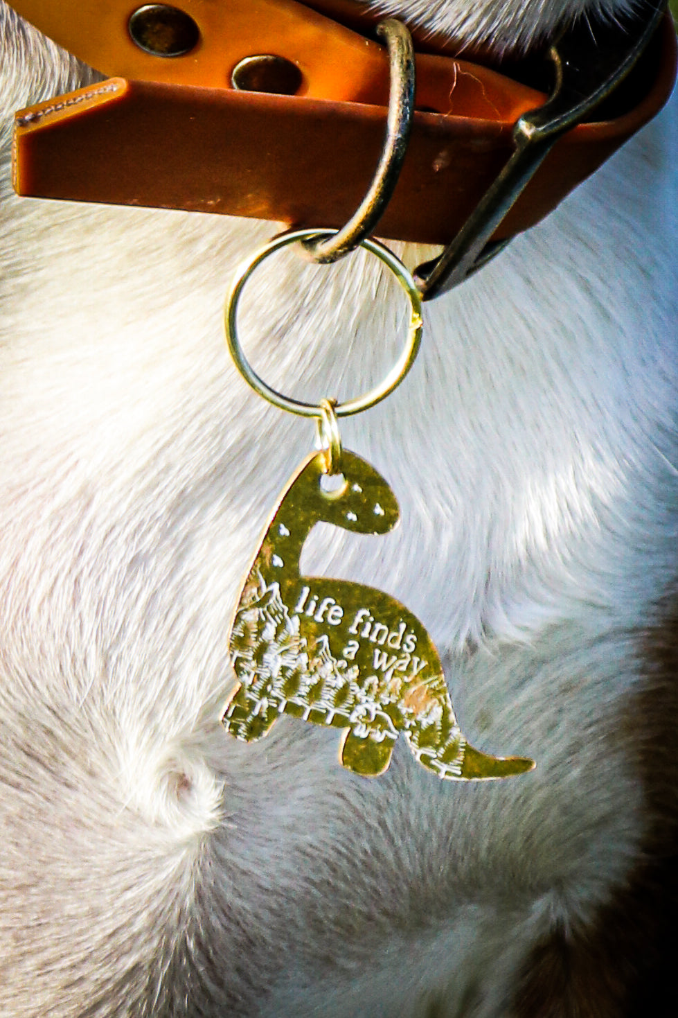 Dino ID Tags