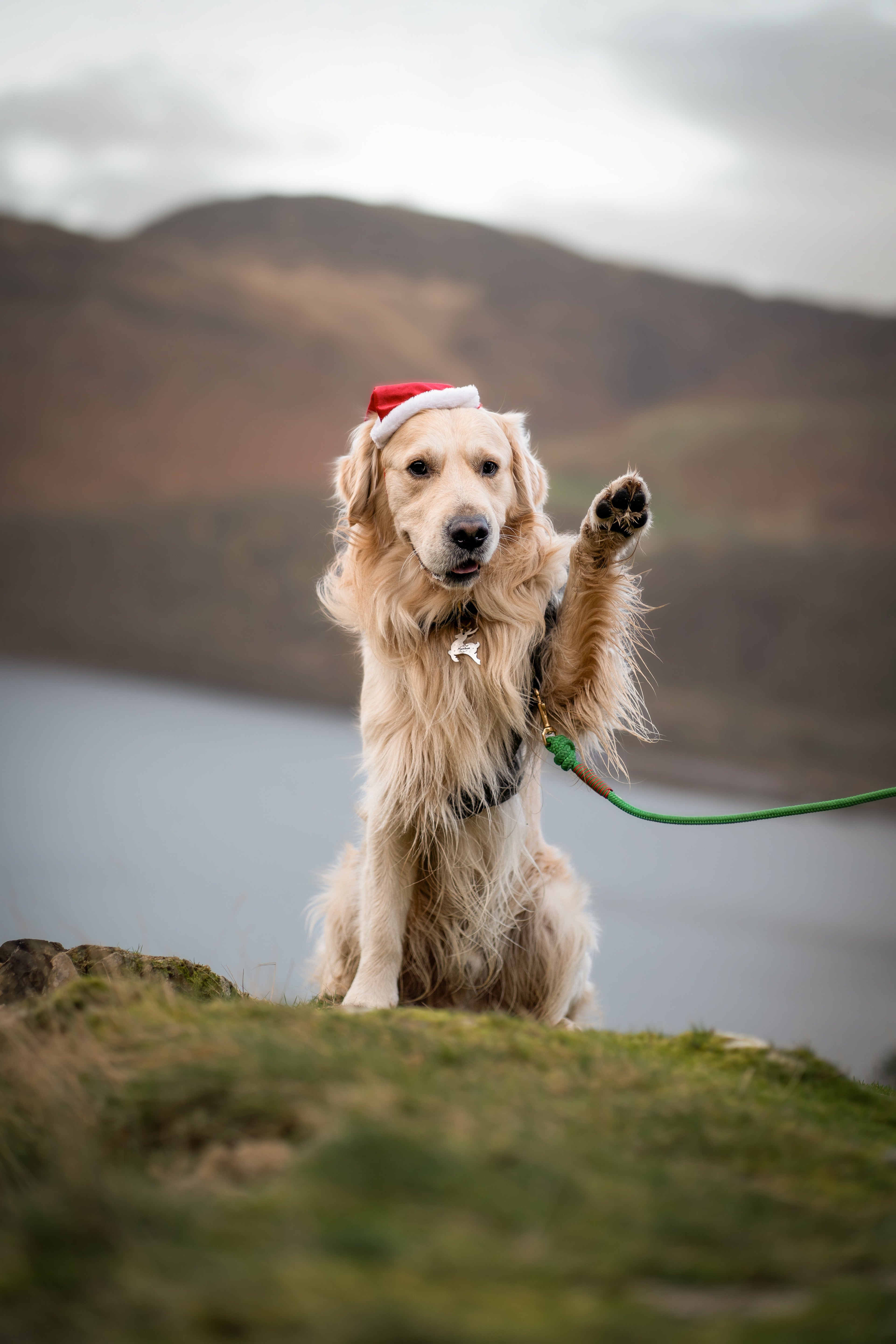 Stocking Fillers