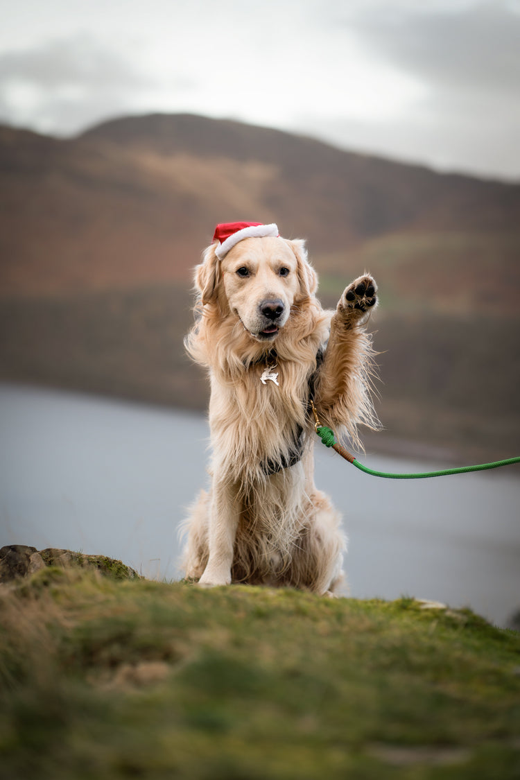 Stocking Fillers