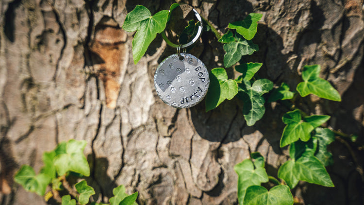 Dirty Dog ID Tags