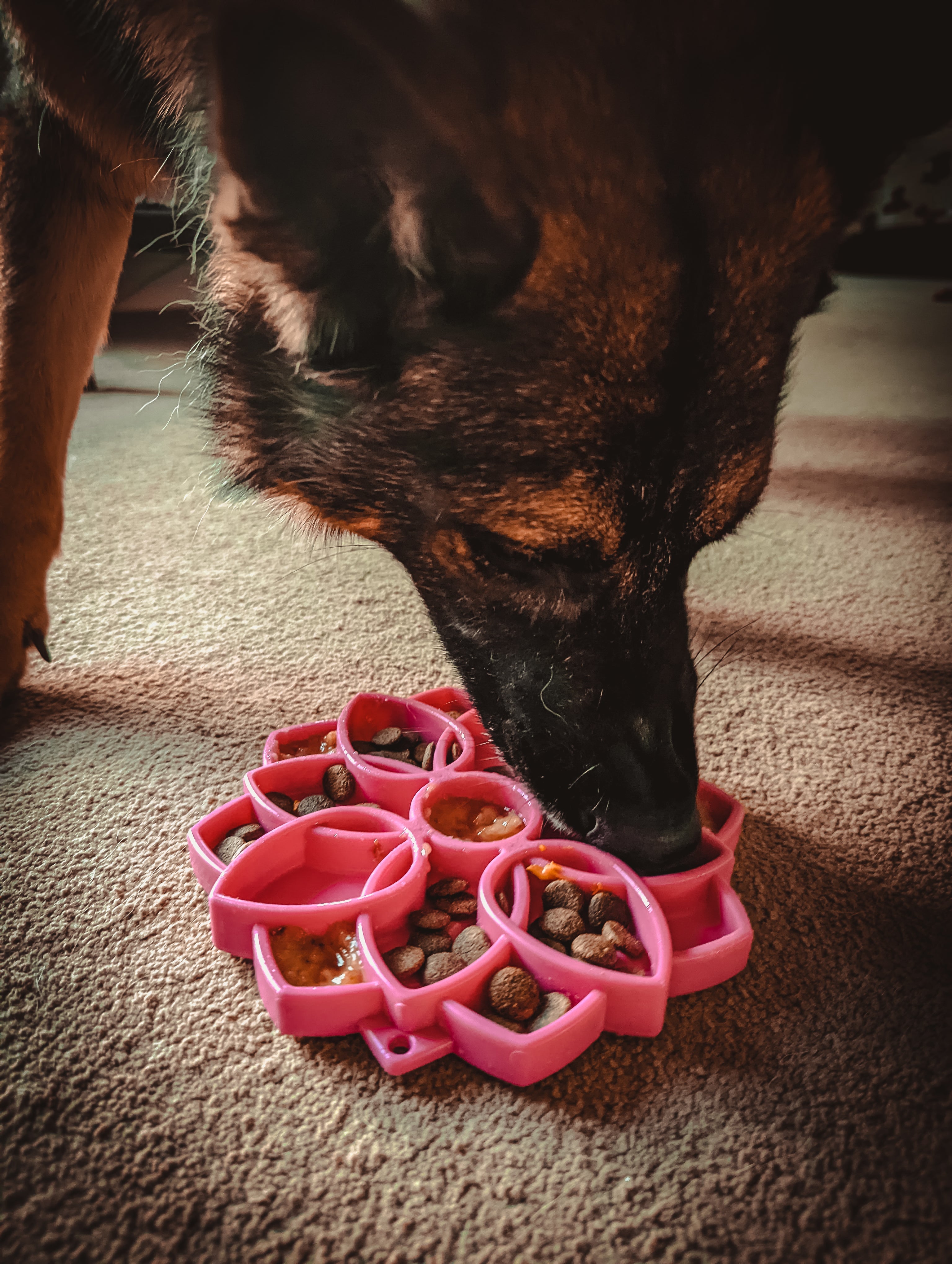 Enrichment