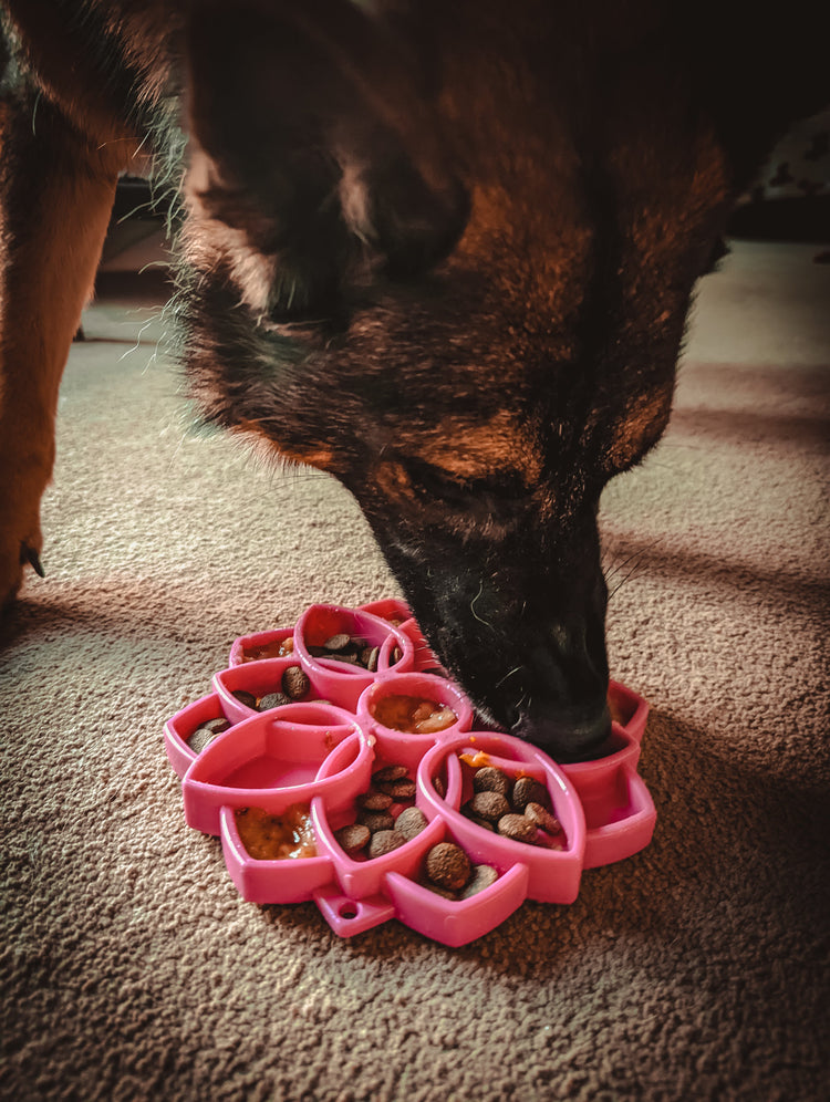 Enrichment