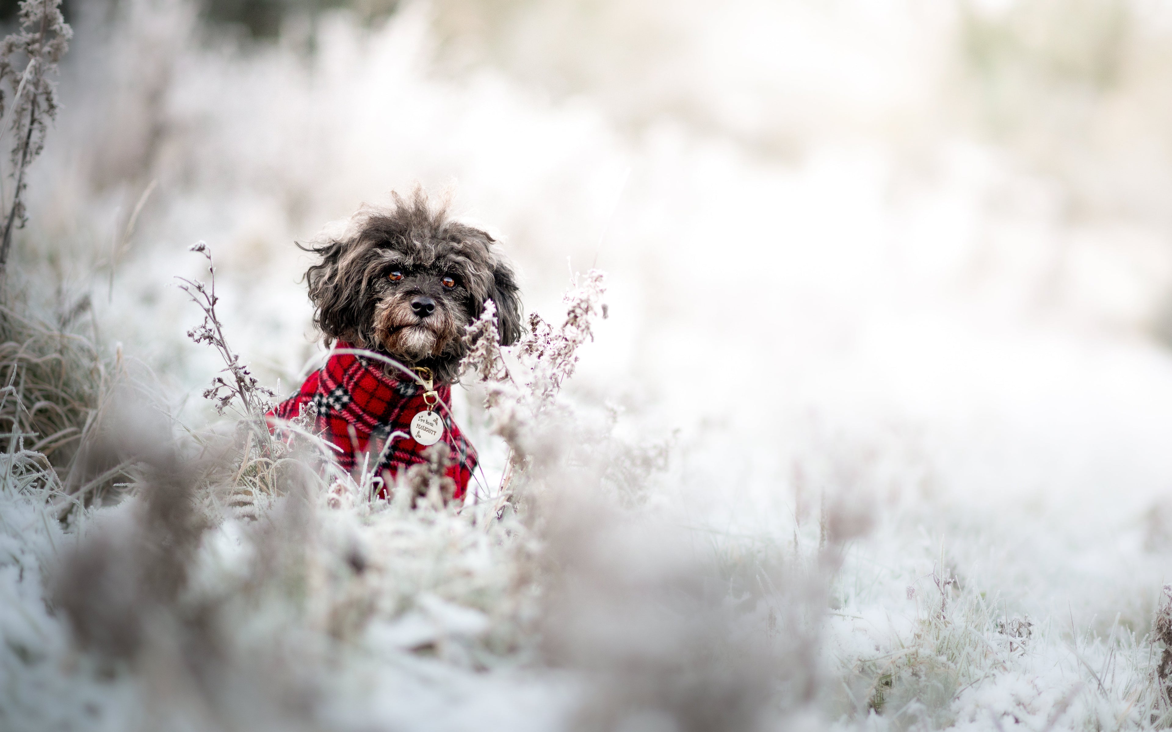 Seasonal