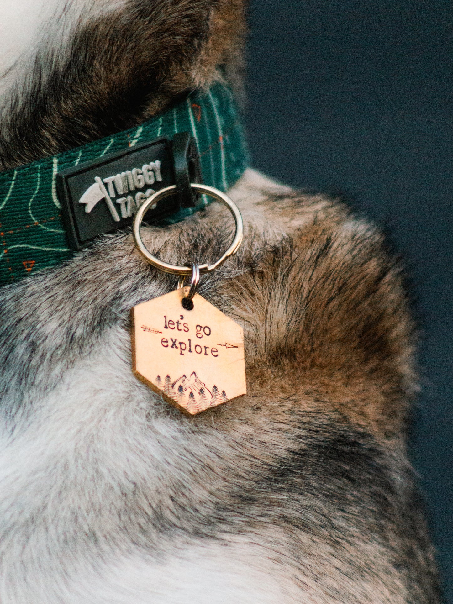 Let's Go Explore ID Tag