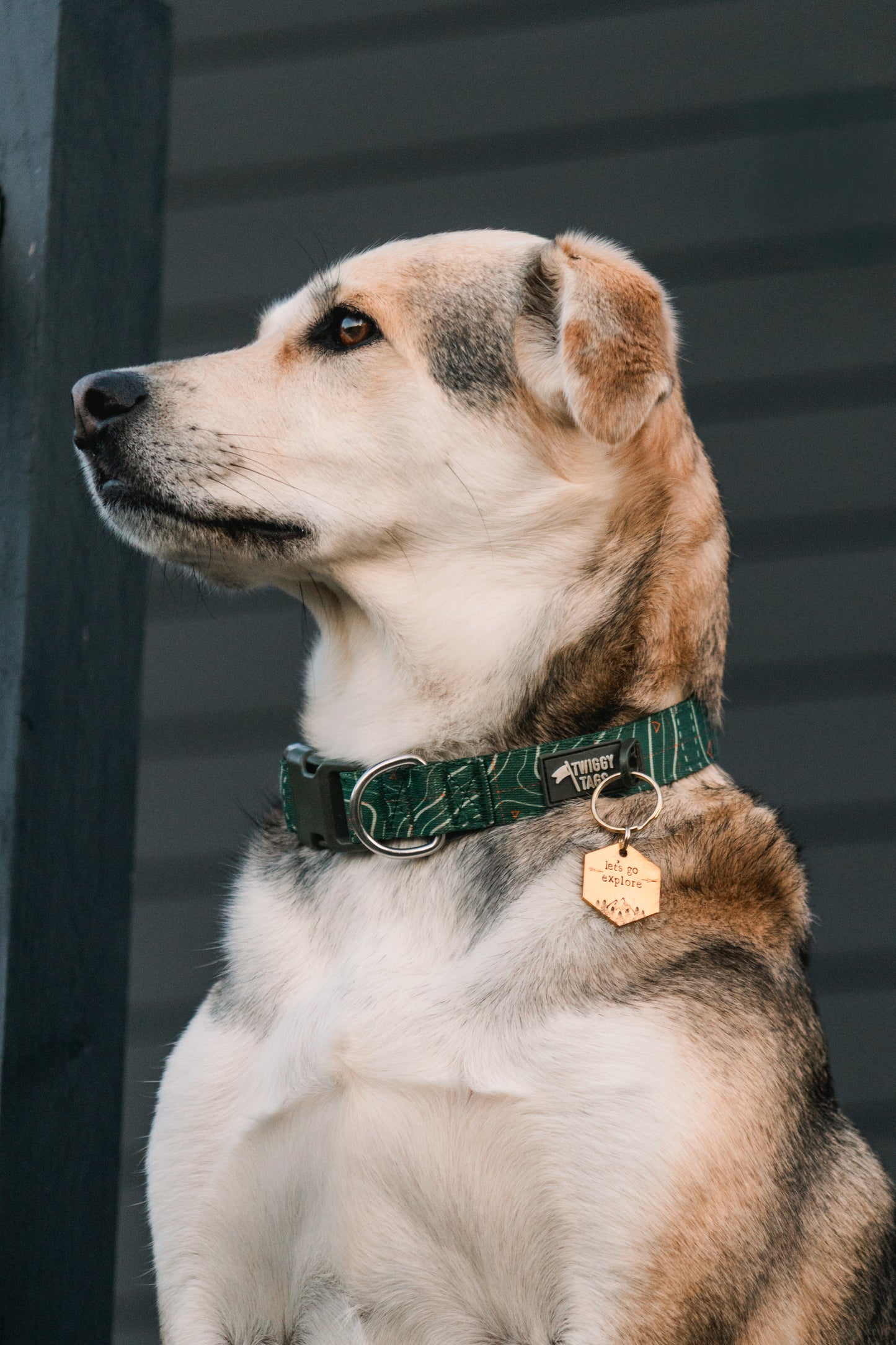 Let's Go Explore ID Tag