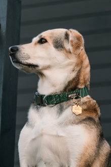 Let's Go Explore ID Tag