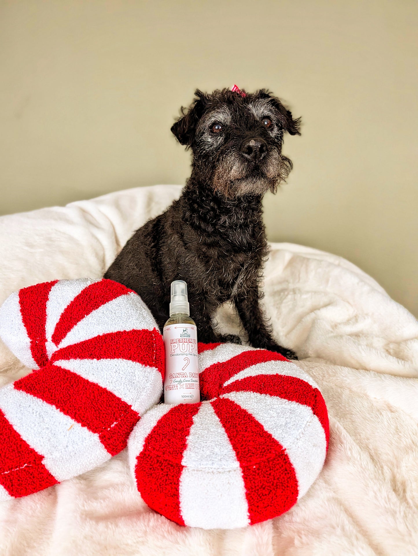 Freshen Up Pup! – Deodorising Dog Spray – Santa Paws, Candy Cane Scented