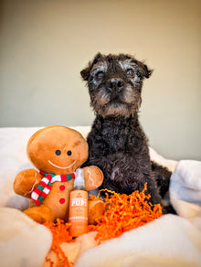 Freshen Up Pup! – Deodorising Dog Spray – Gingerbread Dog, Gingerbread Scented