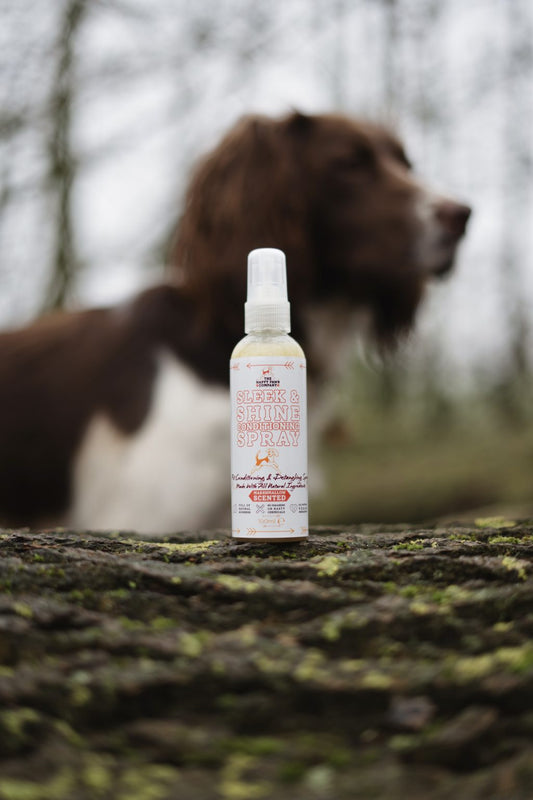 Sleek & Shine Conditioning & Detangling Spray – Marshmallow Scent