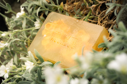 Bee Happy - Dirty Dog Shampoo Bar - Honey & Vanilla Fragrance