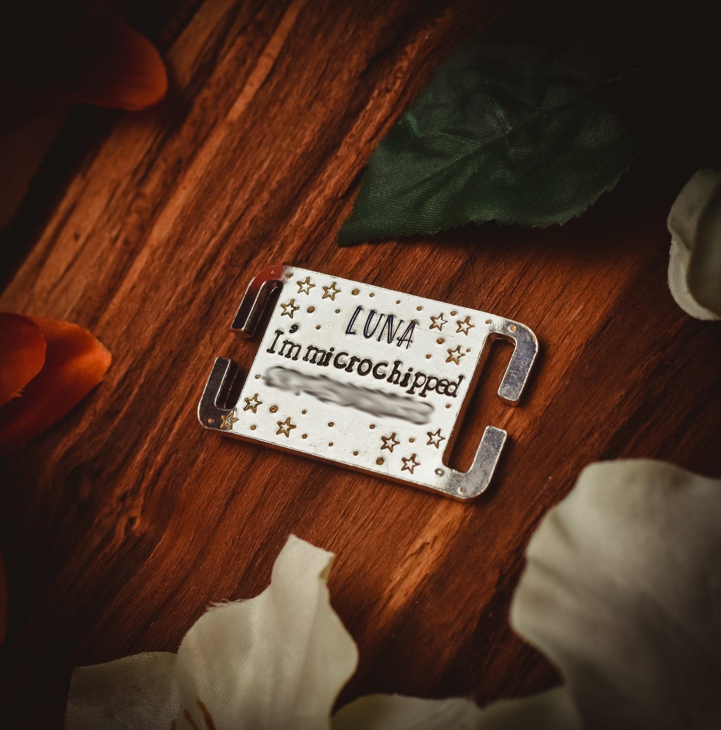 Everyday Slip On/Collar/Agility ID Tag