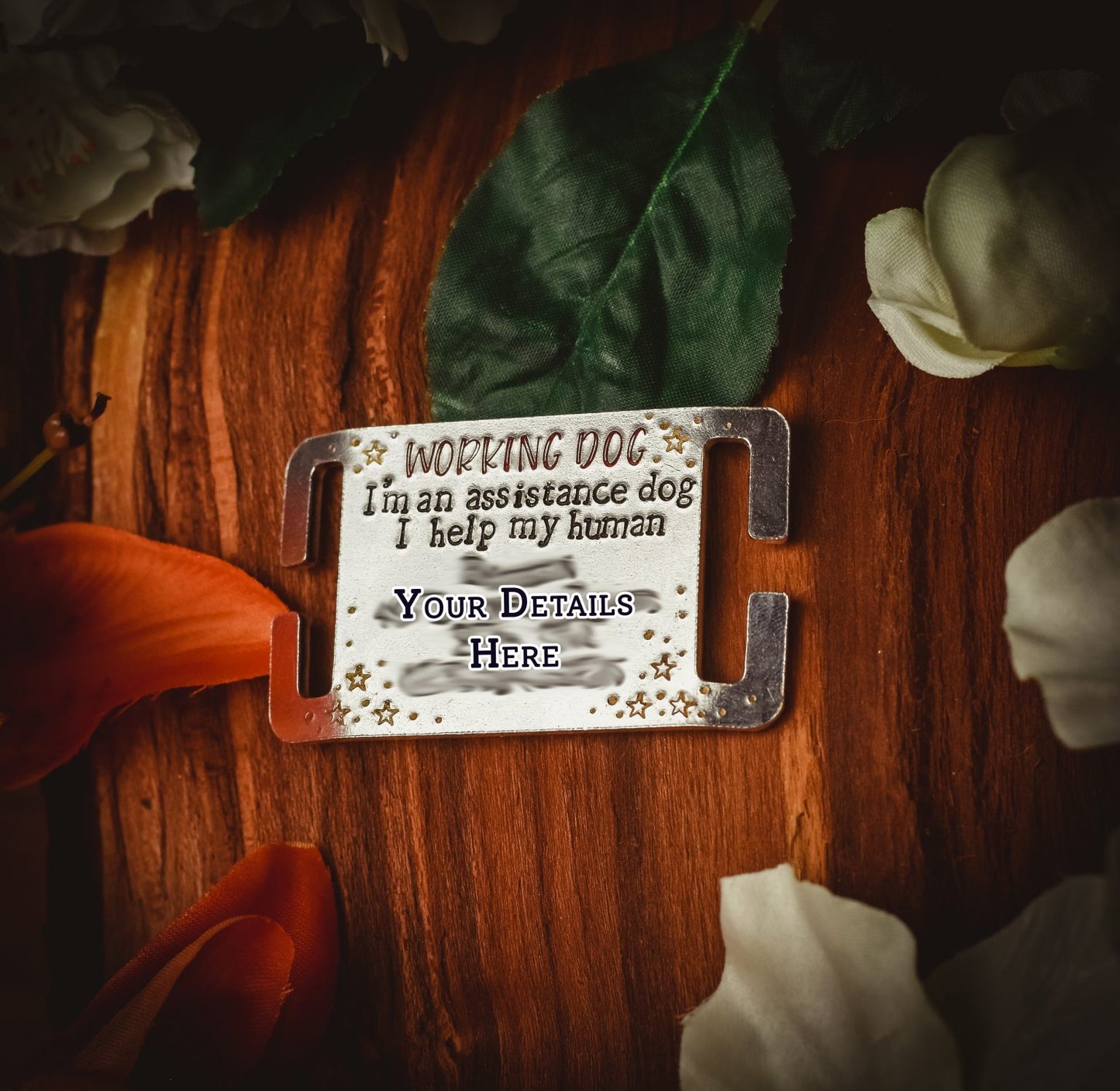 Alert Slip On/Collar/Agility ID Tag