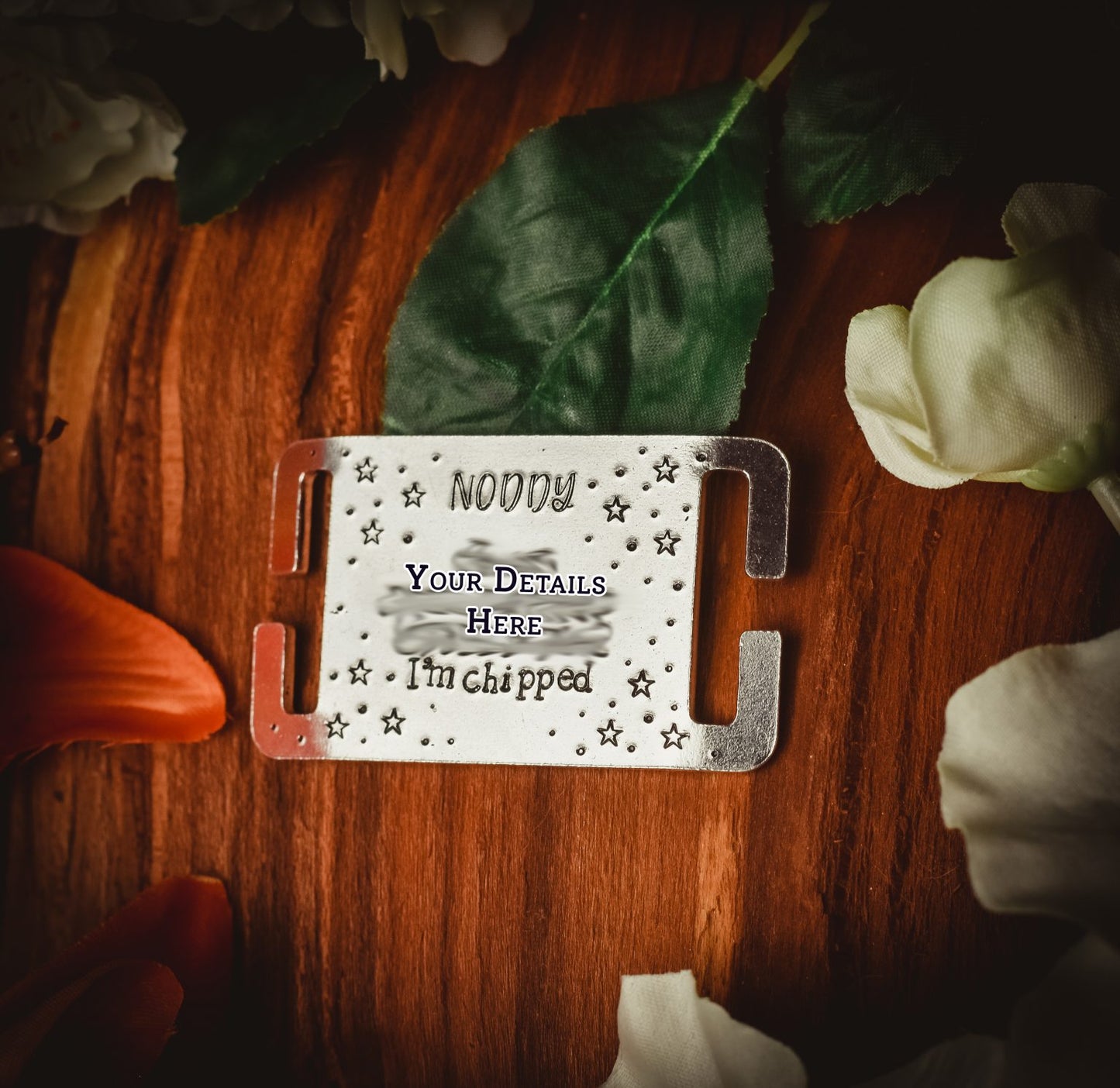 Everyday Slip On/Collar/Agility ID Tag