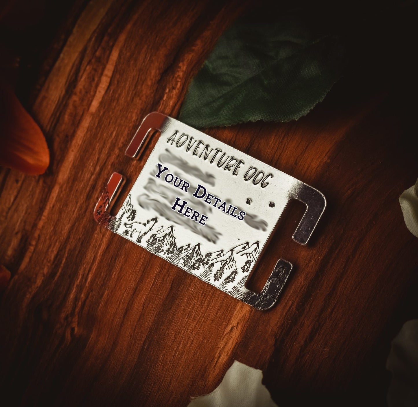 Adventure Dog Slip On/Collar/Agility ID Tag