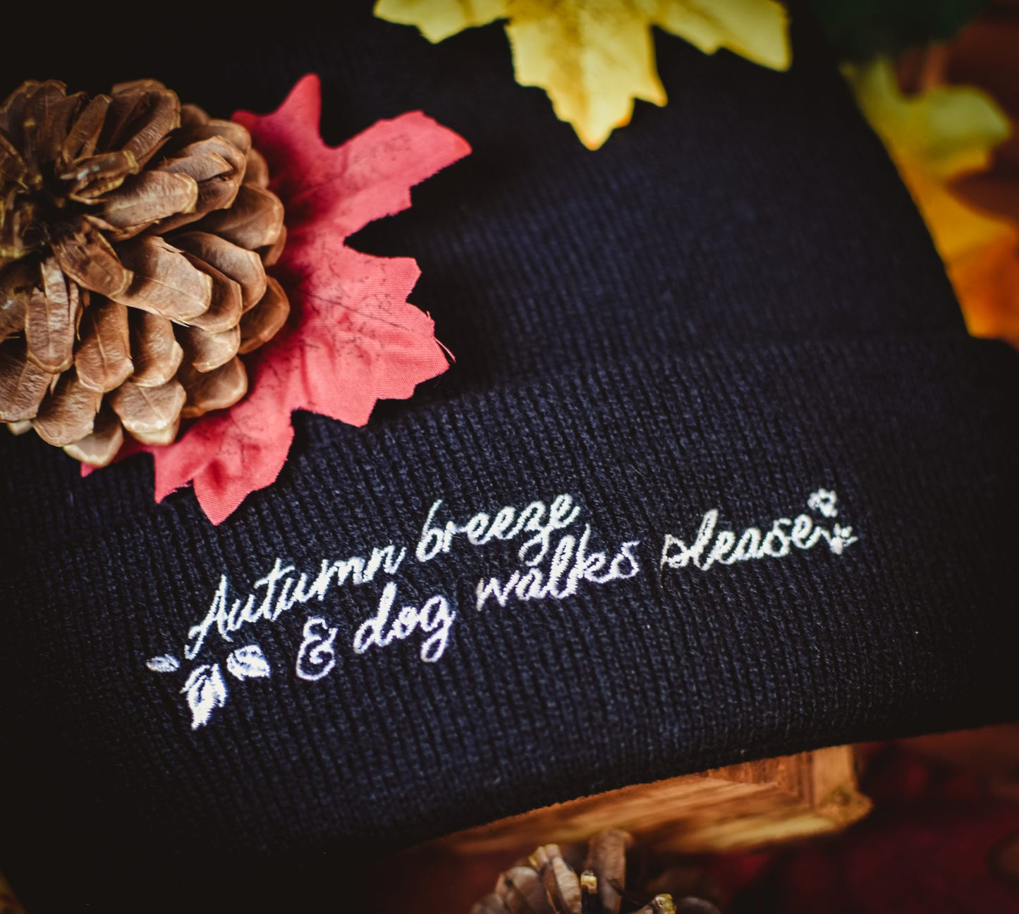 Autumn Breeze Beanie Hat