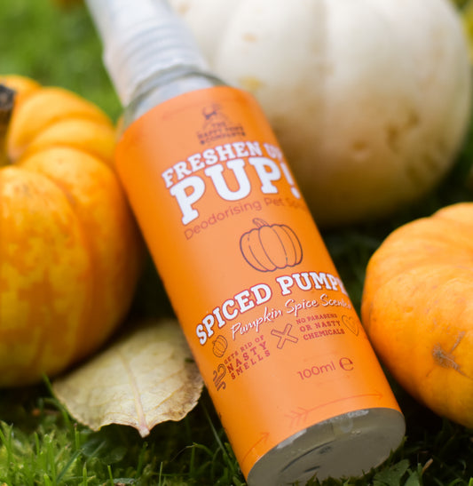 Freshen Up Pup! – Deodorising Dog Spray – Spiced Pumpkin, Pumpkin Spice Scented