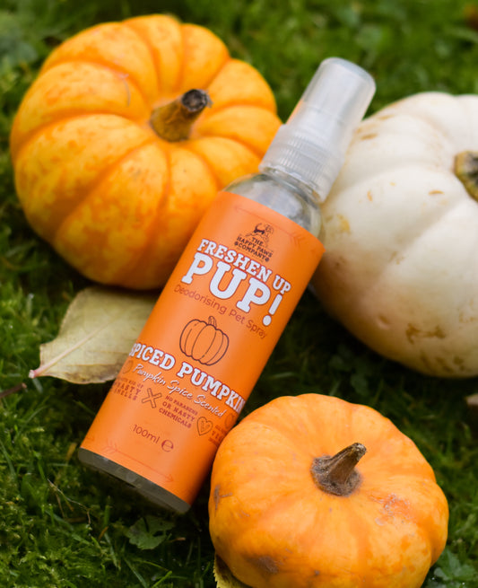 Freshen Up Pup! – Deodorising Dog Spray – Spiced Pumpkin, Pumpkin Spice Scented