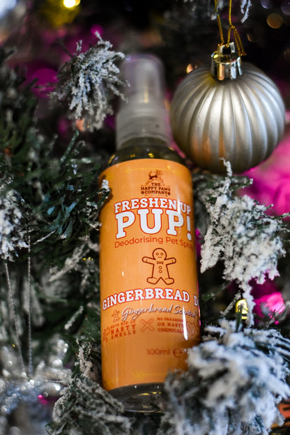 Freshen Up Pup! – Deodorising Dog Spray – Gingerbread Dog, Gingerbread Scented