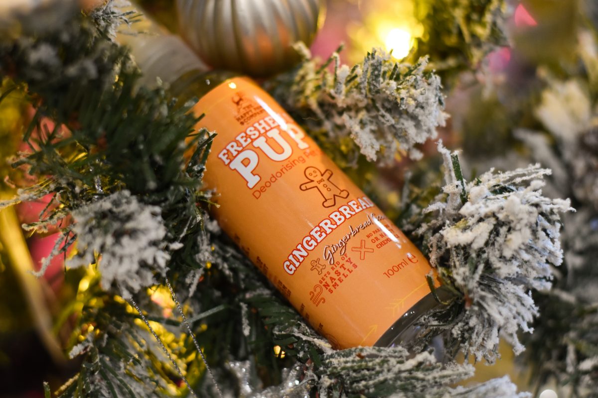 Freshen Up Pup! – Deodorising Dog Spray – Gingerbread Dog, Gingerbread Scented