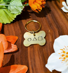 The Game ID Tag