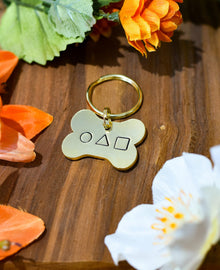 The Game ID Tag