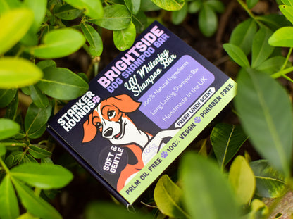 Brightside - UV Whitening Shampoo Bar - Fresh Linen Scent