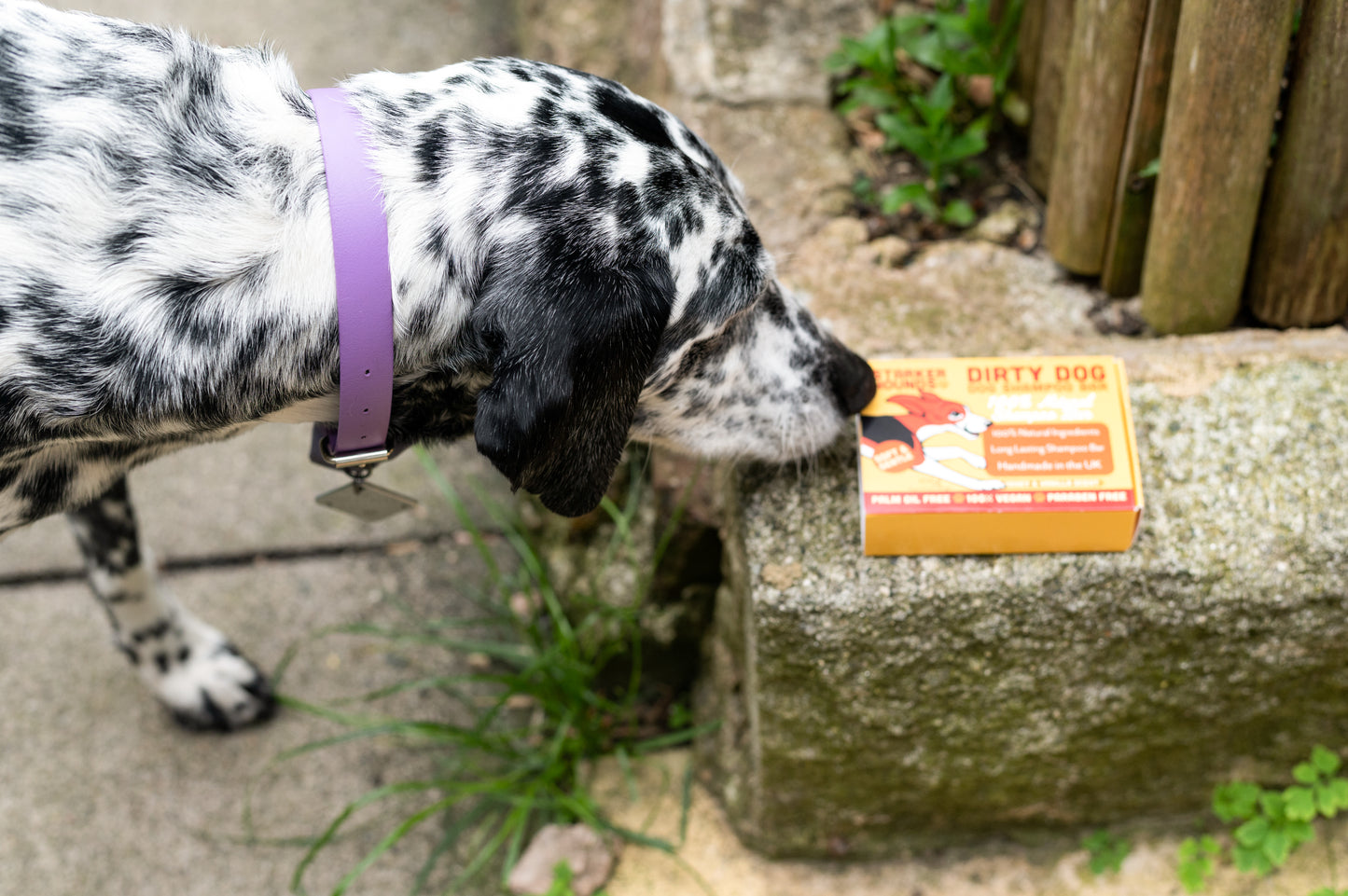 Bee Happy - Dirty Dog Shampoo Bar - Honey & Vanilla Fragrance
