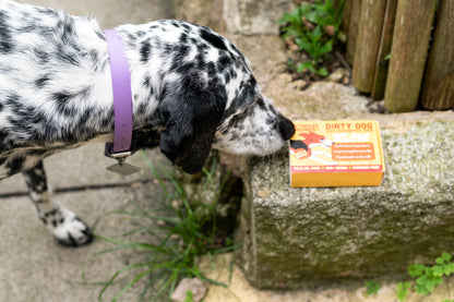 Bee Happy - Dirty Dog Shampoo Bar - Honey & Vanilla Fragrance