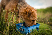 Collapsible Pet Travel Bowl - Tidal Scape