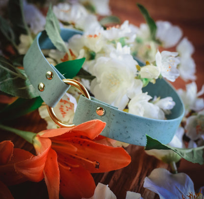 Thick Slip On/House/ID Cork Collar