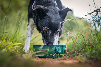 Collapsible Pet Travel Bowl - Evergreen Explorer