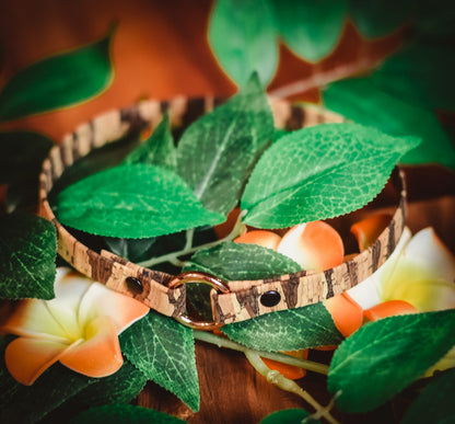 Thin/Small Slip On/House/ID Cork Collar