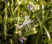 Wild & Free Adjustable Bangle