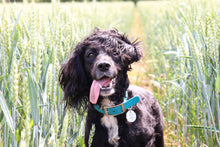 Sticks Are Life ID Tag