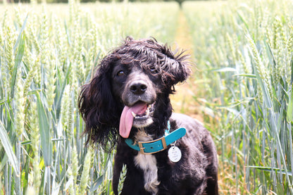 Sticks Are Life ID Tag