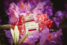 Adventure Dog Slip On/Collar/Agility ID Tag