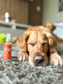 Sunshine Spray – Uplifting & Energising Spray