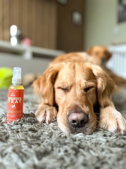Sunshine Spray – Uplifting & Energising Spray