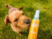 Freshen Up Pup! – Deodorising Dog Spray – Bee Happy, Honey & Vanilla Scented