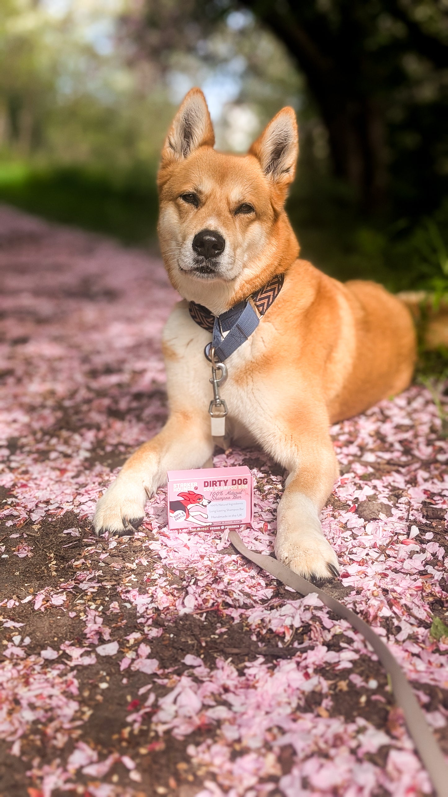 Sakura - Dirty Dog Shampoo Bar - Cherry Blossom Fragrance