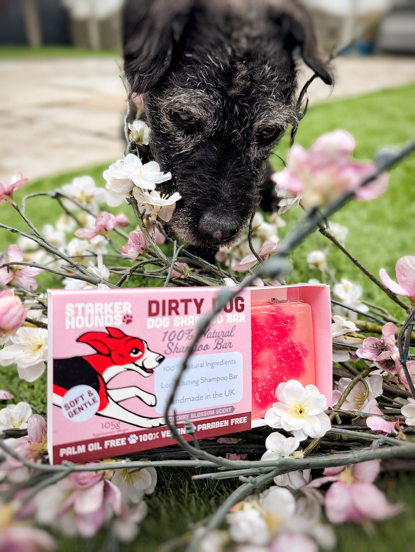 Sakura - Dirty Dog Shampoo Bar - Cherry Blossom Fragrance